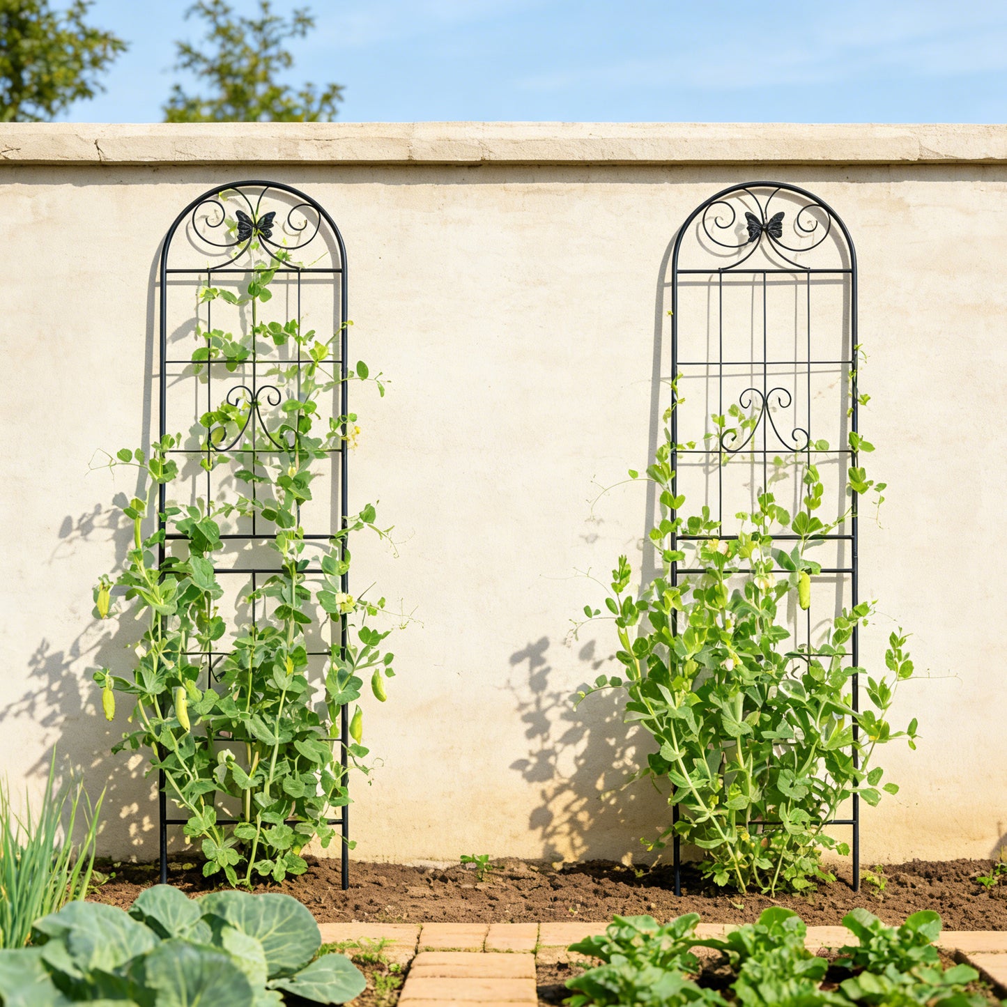 2 Pack Metal Garden Trellis 86.7 X 19.7 Rustproof Trellis For Climbing Plants Outdoor Flower Support Black
