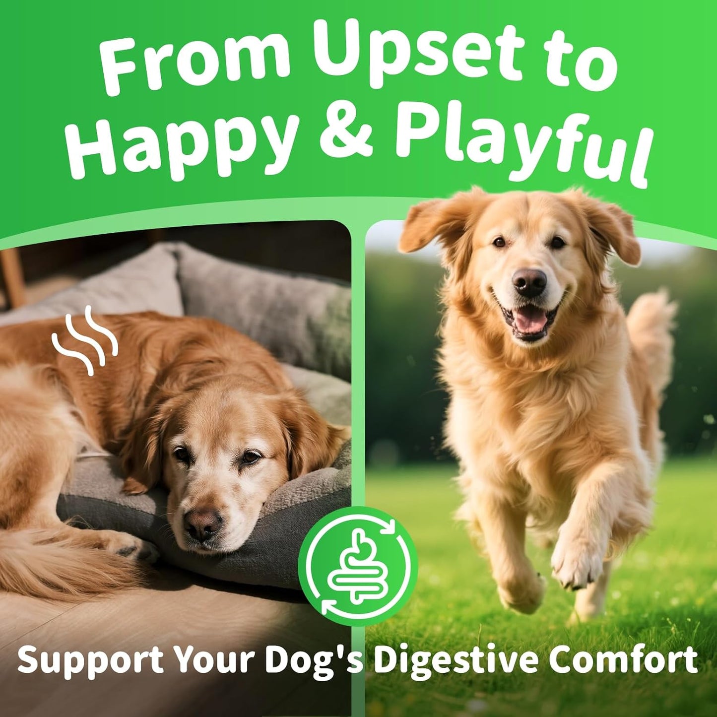 Dog Probiotics Digestive Enzymes,Pumpkin Fiber Chews For Gut Health, Constipation Upset Stomach Relief, Gas & Stool Support, Chicken Flavor Soft Chews ,90 Count