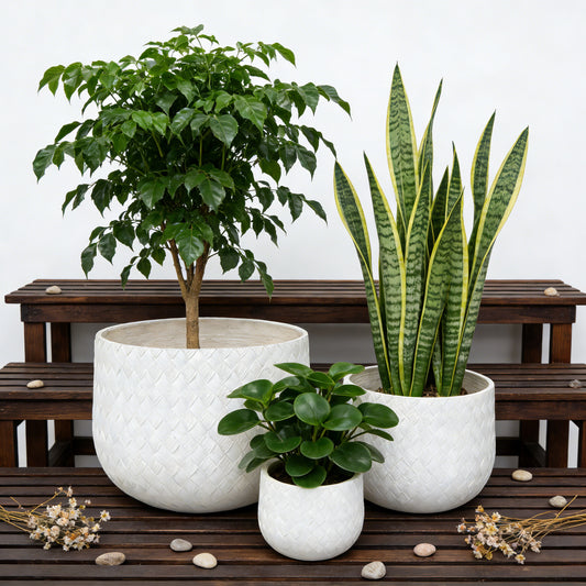 Assorted Sizes Magnesium Oxide Round Planter,21.65-14.17-8.66 Dia Set Of 3 Planter,Outdoor Indoor Plant Pot With Drainage Hole, White Color With Weaving Pattern Planter For Home Garden Patio