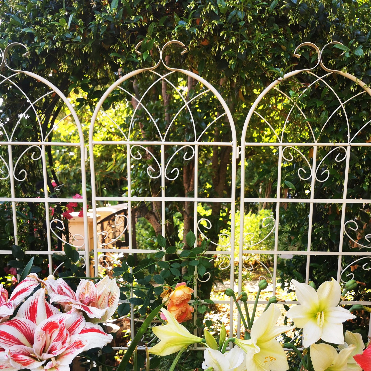 4 Pack Metal Garden Trellis 71 X 19.7 Rustproof Trellis For Climbing Plants Outdoor Flower Support Cream White