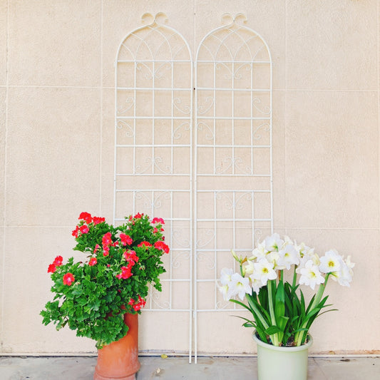 2 Pack Metal Garden Trellis 86.7 X 19.7 Rustproof Trellis For Climbing Plants Outdoor Flower Support Cream White