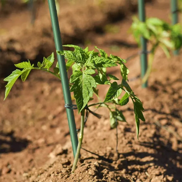 40PC 1/4inch 4ft Dark Green Solid Sticks For Plant Support Offer High Strength, Corrosion Resistance, And Durability, Suitable For Flowers, Vegetables, And Fruit Trees.