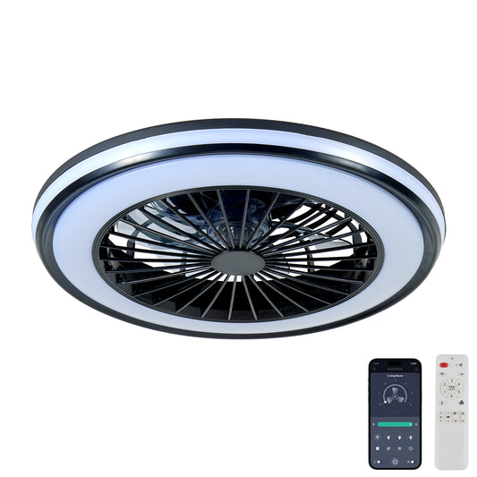 Modern LED Ceiling Light With Fan, RGB Ceiling Fan Lights, Infinitely Dimmable Light ForLiving Room, Bedroom, Office, 3000-4500-6000 K Black & 20 & RGB