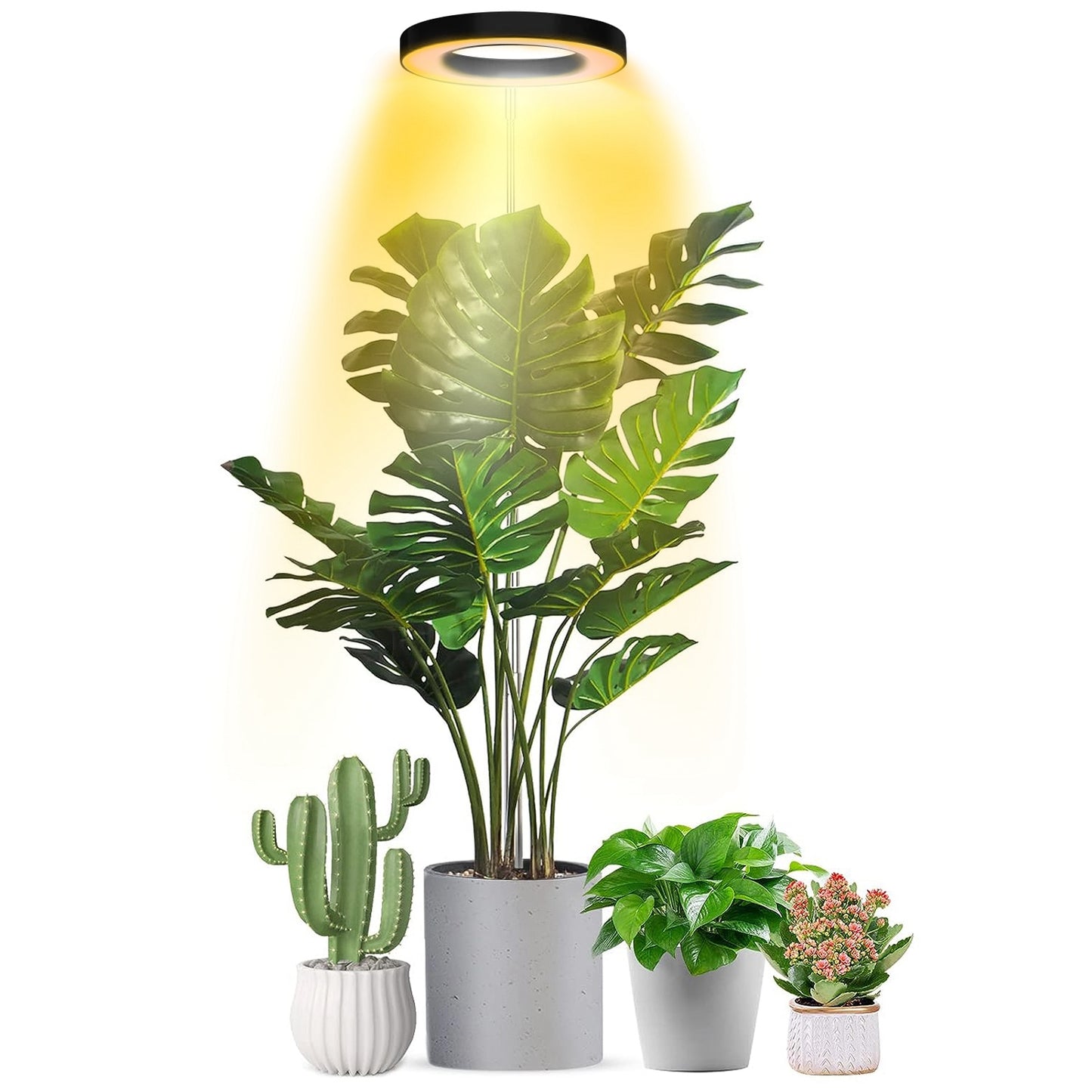 1Pc Plant Grow Light LED Full Spectrum Circle Growing Lamp With 3-9-12Hours Auto Timer Setting 9 Dimmable Brightness Height Adjustable For Indoor Plants