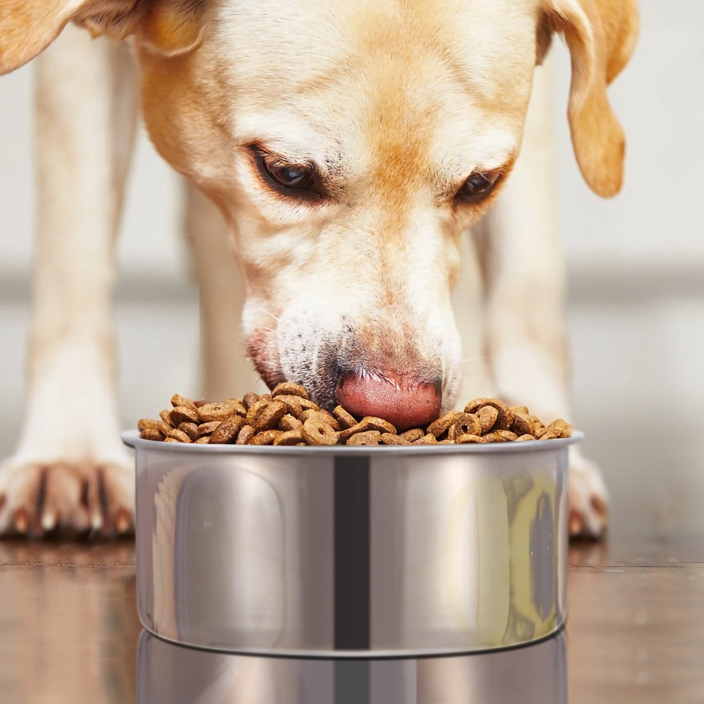 1Pc M Size Stainless Steel Dog Bowl Pets Hanging Food Bowl Detachable Pet Cage Food Water Bowl With Clamp Holder