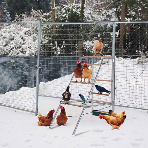 103x50x100cm Outdoor Chicken Perch
