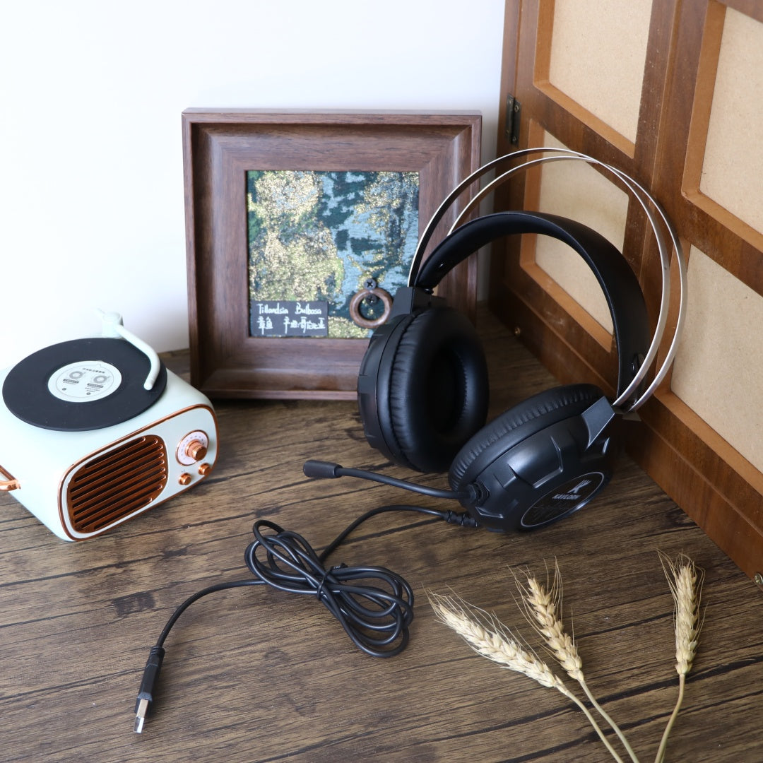 Wired Headphones For Computer
