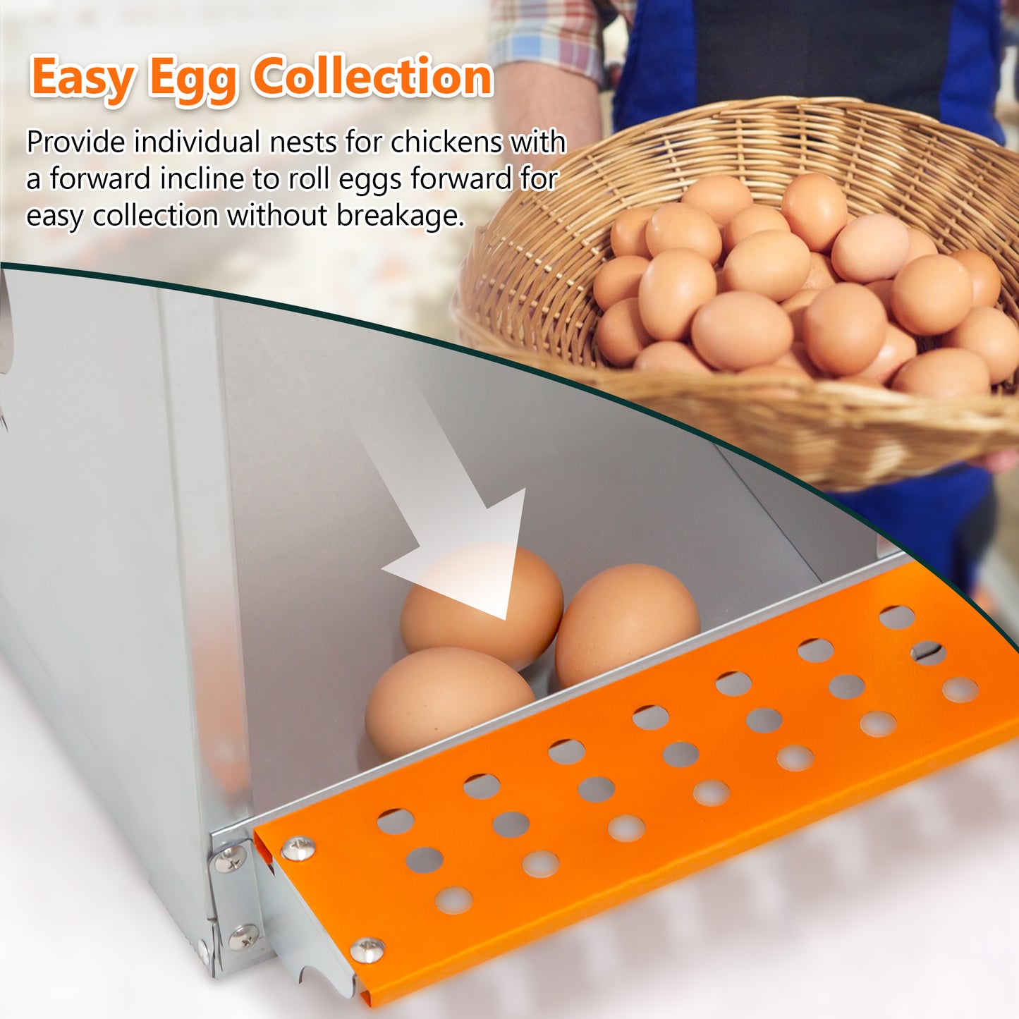 10-Bay Metal Nest Box-Wall Mount For Hens Ducks, Easy Egg  Assembly, Vented Galvanized Steel Coop Equipment Orange