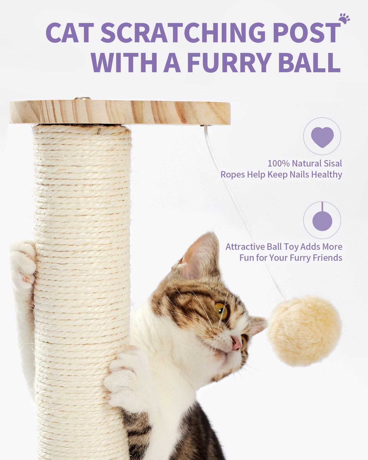 Indoor Cat Soft Scratching Board And Interactive Ball Track Toy Cat Rest And Grooming Supplies