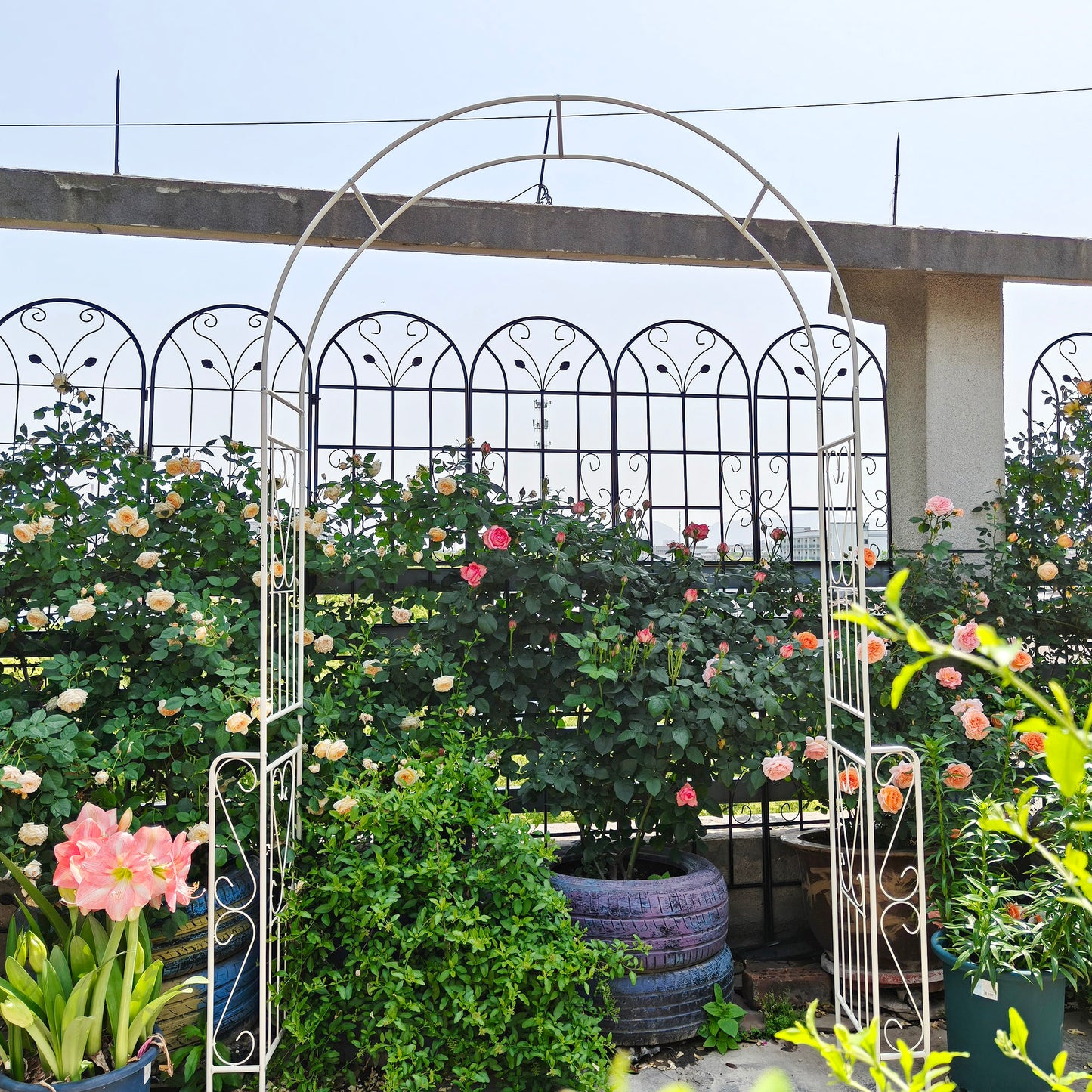 Metal Garden Arch W55  X H94.5  Garden Arbor Trellis Climbing Plants Support Rose Arch Outdoor Arch Cream White