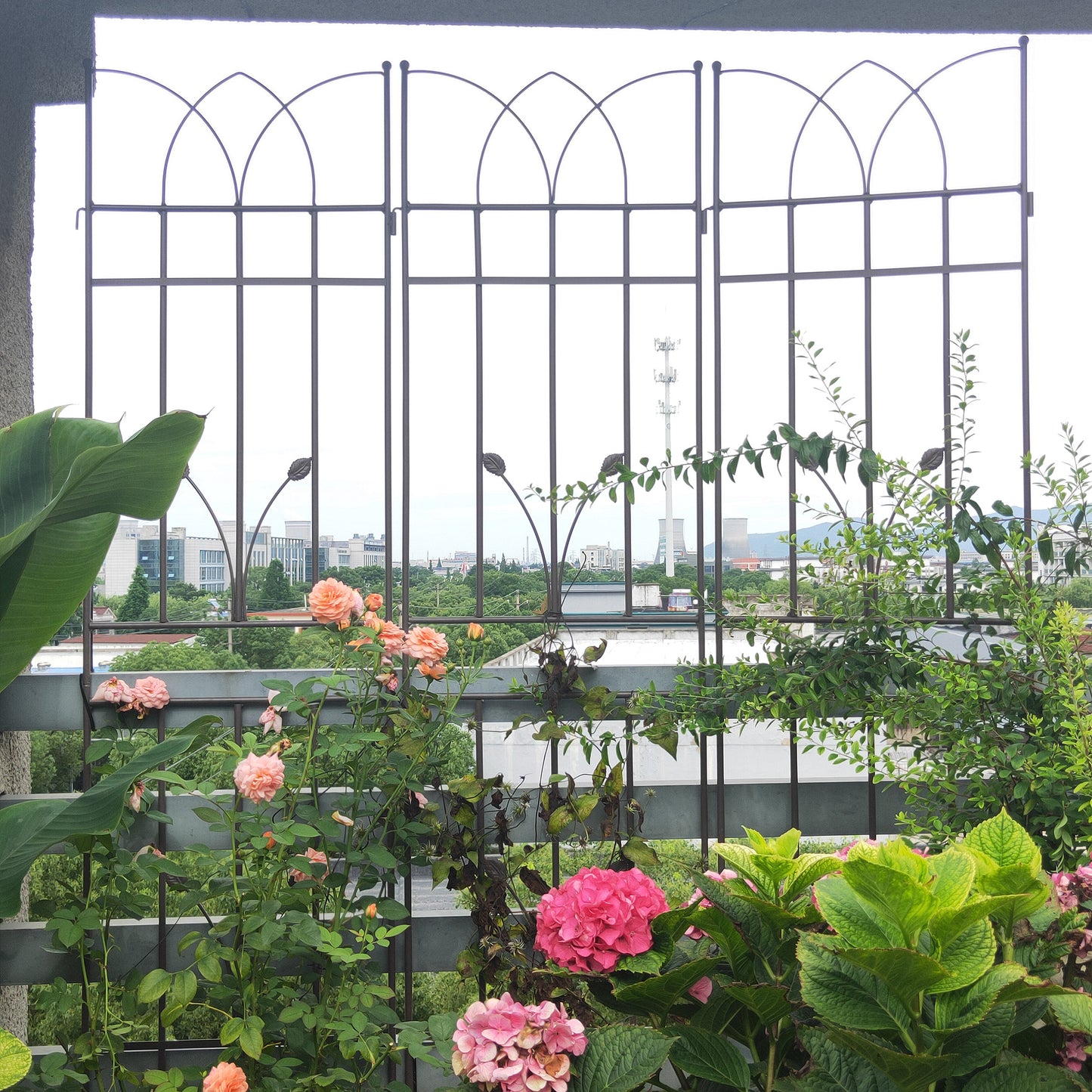 2 Pack Metal Garden Trellis 71  X 17.7  Rustproof Trellis For Climbing Plants Outdoor Flower Support Brown