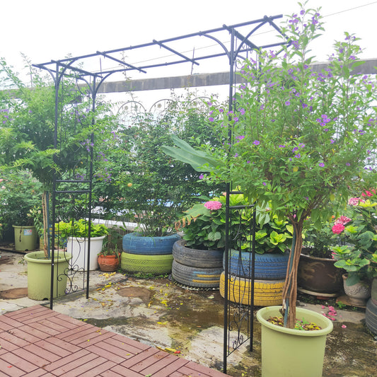Metal Garden Arch L80.3  X W20.47  X H81.1  Climbing Plants Support Rose Arch Outdoor Black