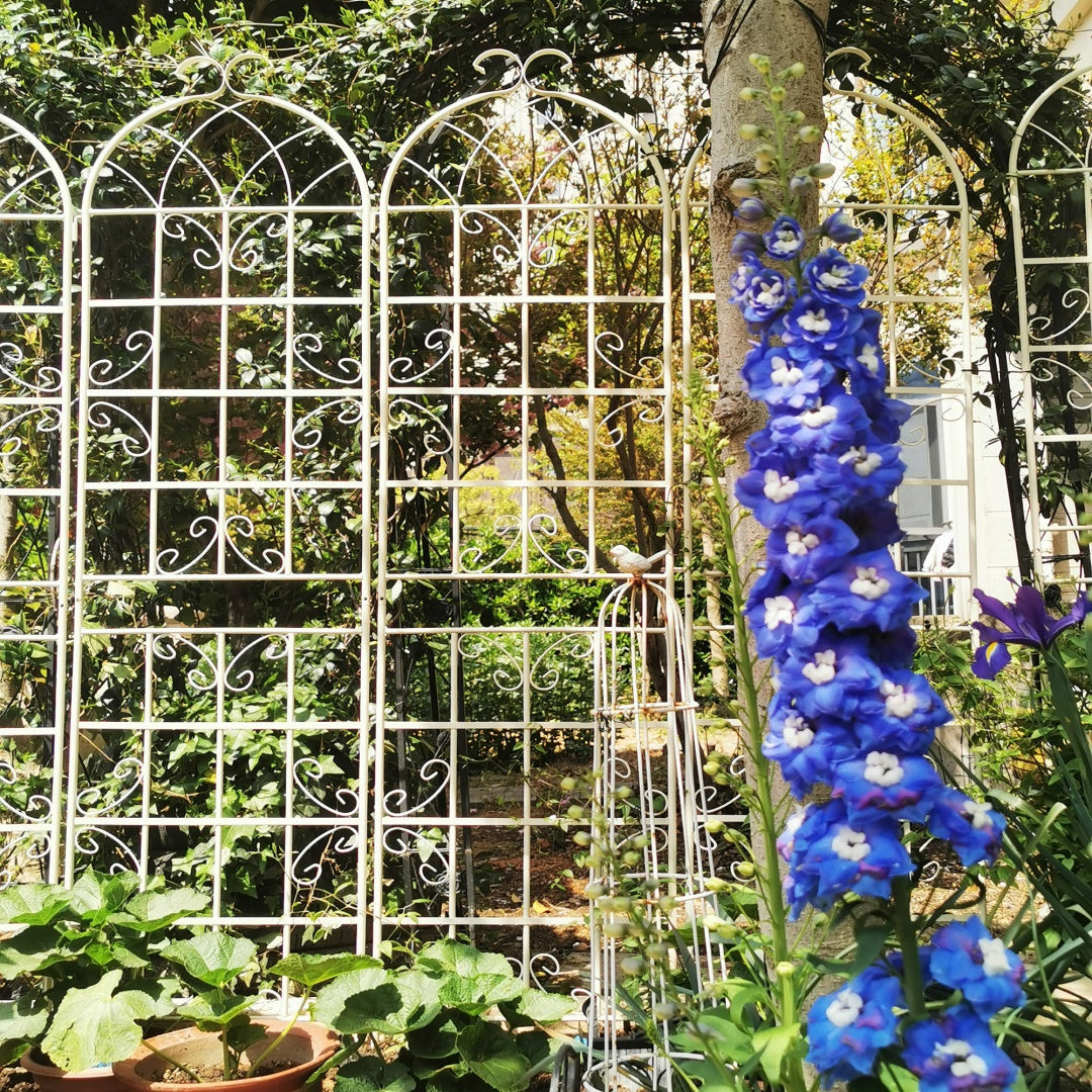 2 Pack Metal Garden Trellis 86.7  X 19.7  Rustproof Trellis For Climbing Plants Outdoor Flower Support Cream White