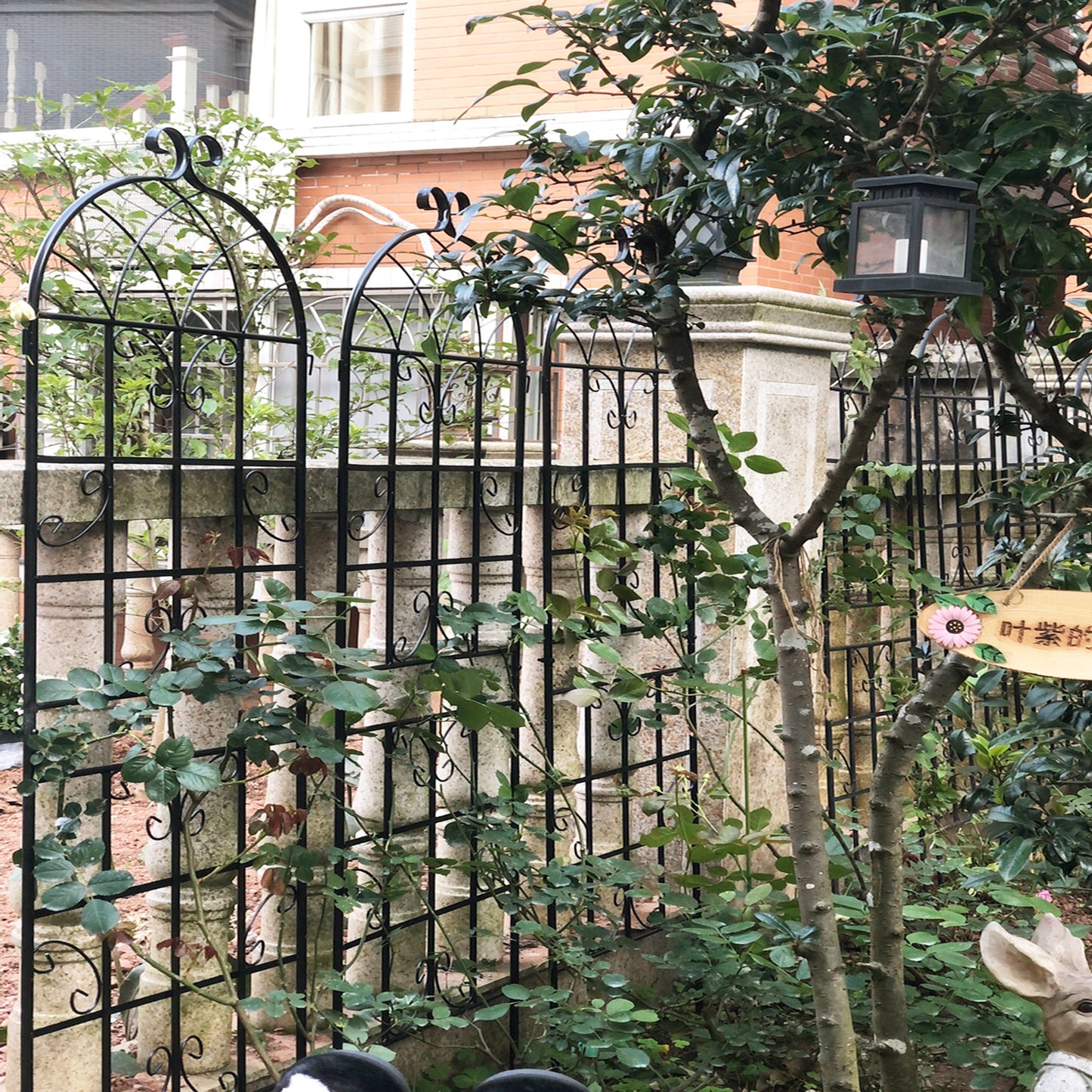 2 Pack Metal Garden Trellis 71  X 19.7  Rustproof Trellis For Climbing Plants Outdoor Flower Support Black
