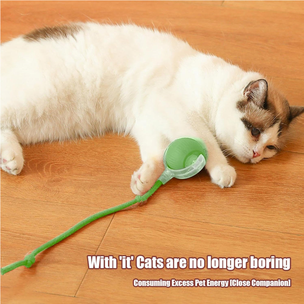 Electric Dog Cat Ball Toy,Indoor Large And Small Cat Dog Interactive Intelligent Rolling Pet Ball