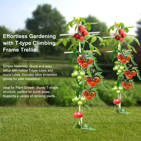 7FT 1PC Hollow T-shaped Climbing Trellis, High-strength Support, Stylish Design, Easily Create A Green Living Wall