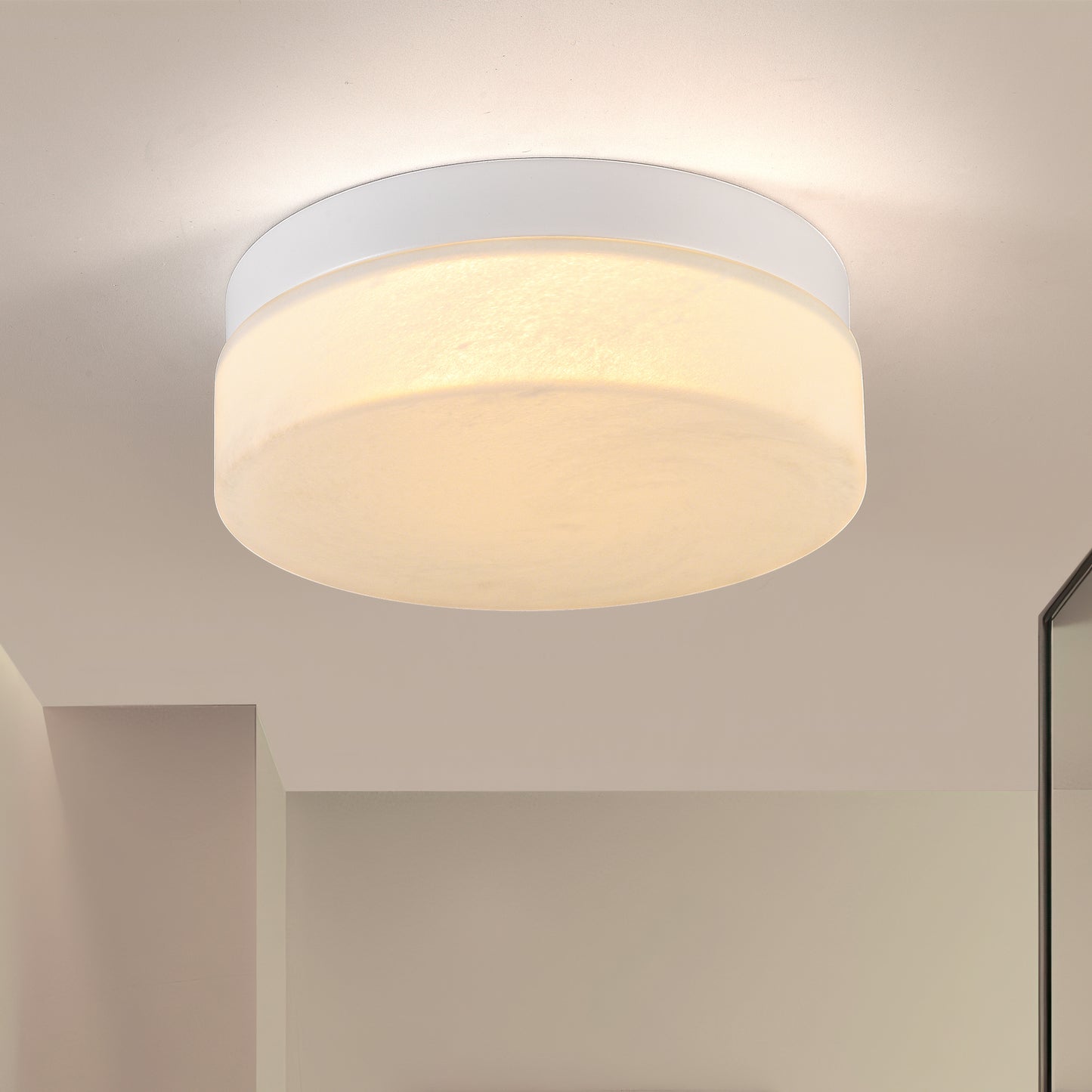 12 Inch LED Ceiling Light, 24W Flush Mount Ceiling Light,Round Low Profile Ceiling Lights For Bedroom, Living Room, Dining Room  White