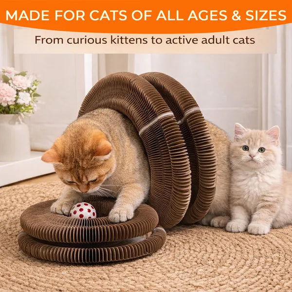 2PCS Kitty Curls Cat Toy - Foldable Accordion Cat Scratcher WithBall - Magic Organ Cat Scratch Board For Interactive Play -Calming Features
