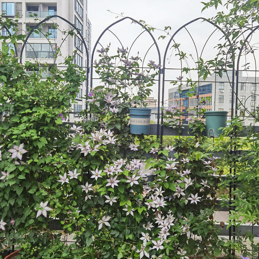 4 Pack Metal Garden Trellis 78.7  X 19.7  Rustproof Trellis For Climbing Plants Outdoor Flower Support Black