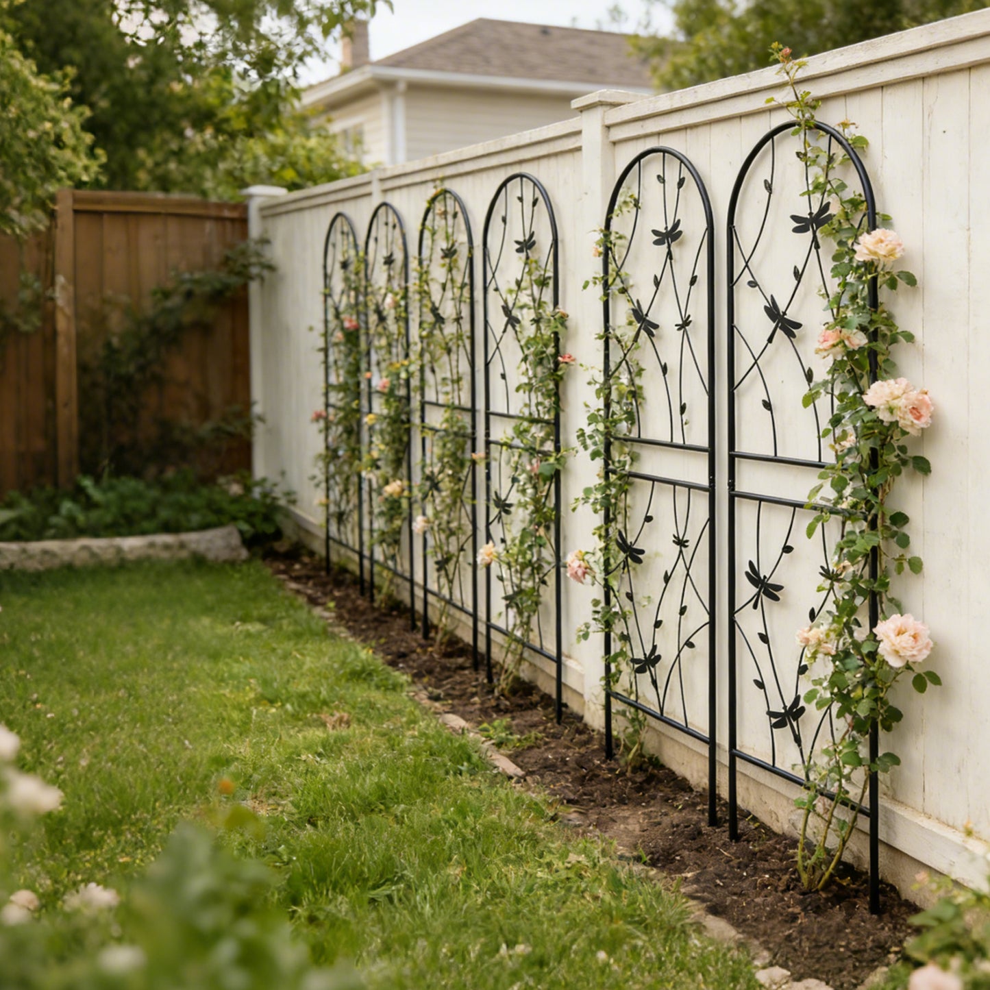 4 Pack Metal Garden Trellis 71  X 19.7  Rustproof Trellis For Climbing Plants Outdoor Flower Support Dragonfly Deco Black