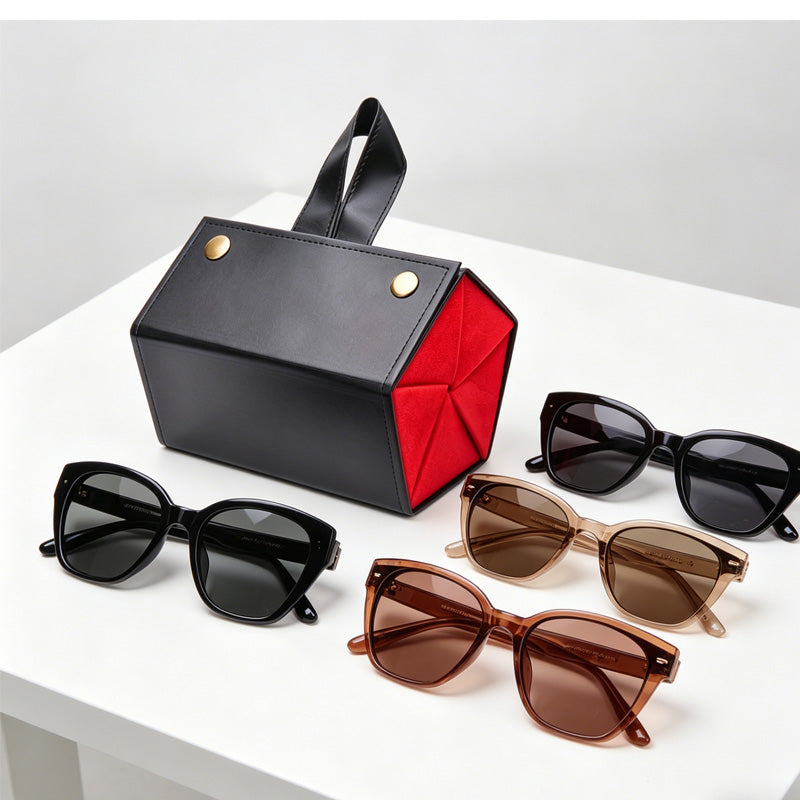 5in1 Sunglasses Travel Case Organizer Hangable, Eyeglasses Foldable Storage Organizer