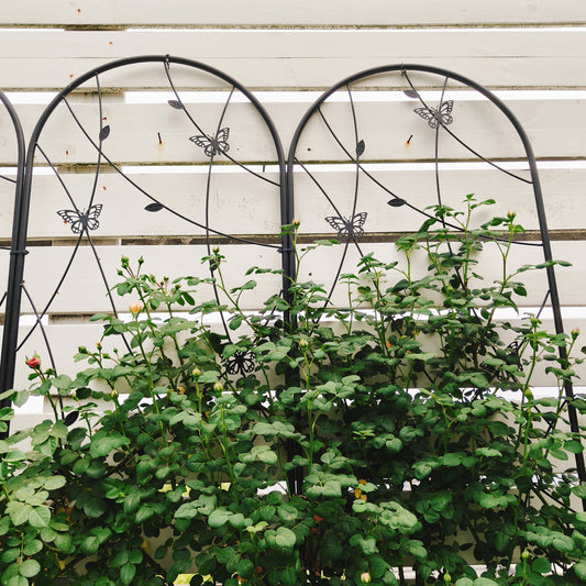 4 Pack Metal Garden Trellis 86.7  X 19.7  Rustproof Trellis For Climbing Plants Outdoor Flower Support Butterfly Deco Black