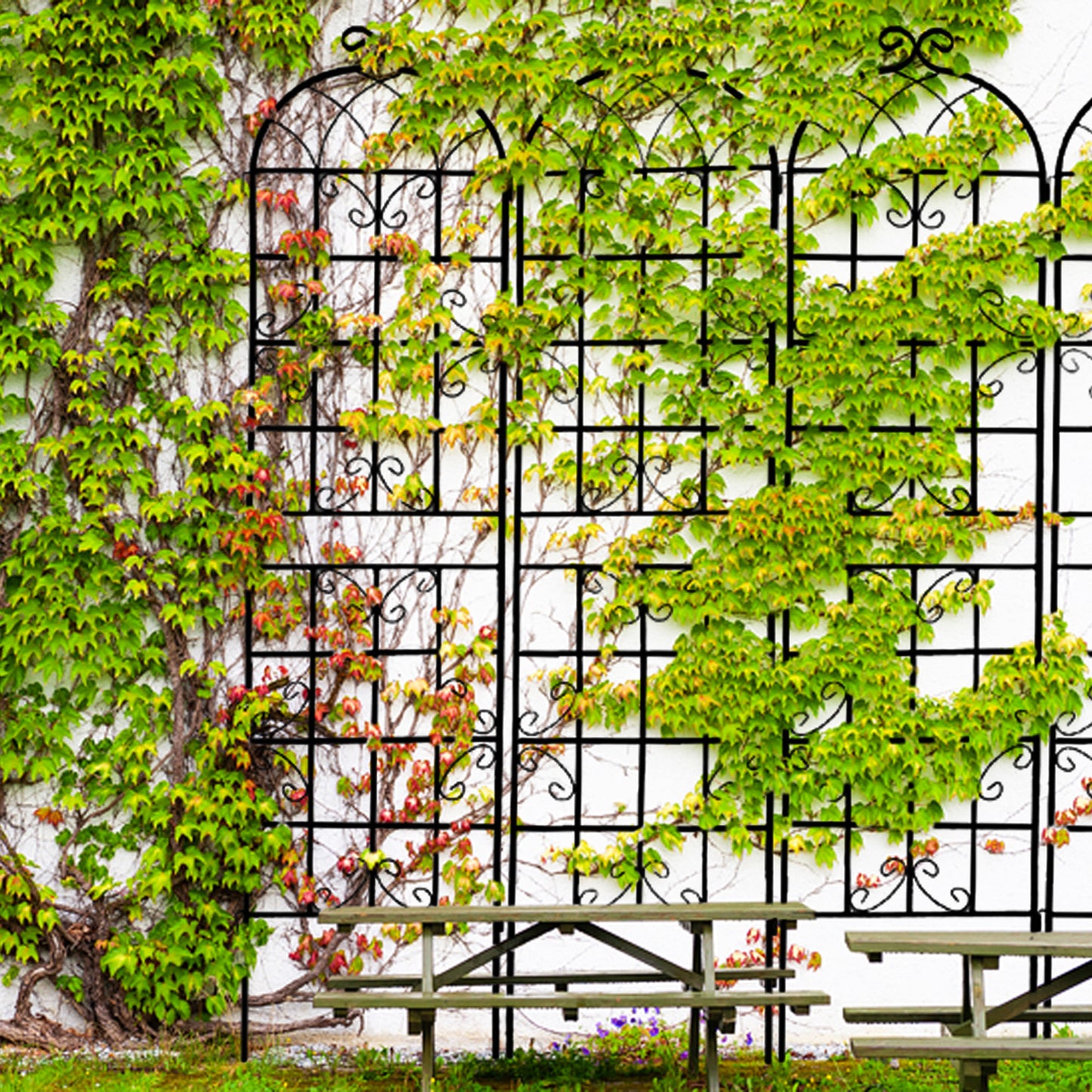 4 Pack Metal Garden Trellis 86.7  X 19.7  Rustproof Trellis For Climbing Plants Outdoor Flower Support Black