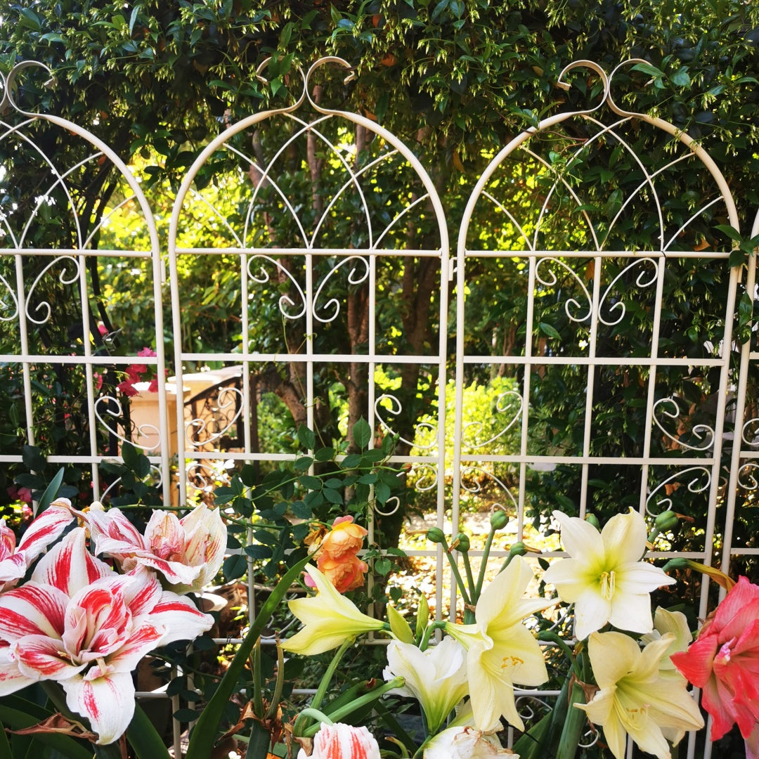 2 Pack Metal Garden Trellis 86.7  X 19.7  Rustproof Trellis For Climbing Plants Outdoor Flower Support Cream White