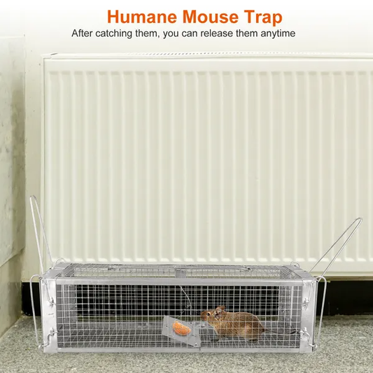 Dual Door Rat Trap Cage Humane Live Rodent Dense Mesh Trap Cage Zinc Electroplating Mice Mouse Control Bait Catch With 2 Detachable U Shaped Rod