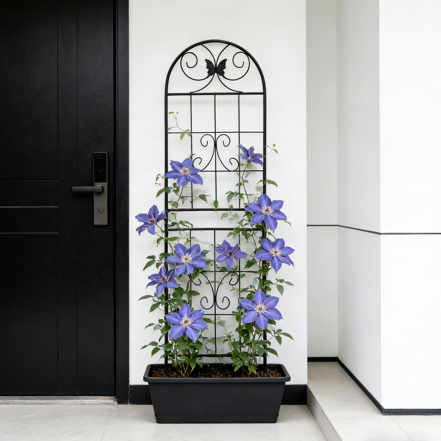 2 Pack Metal Garden Trellis 71  X 19.7  Rustproof Trellis For Climbing Plants Outdoor Flower Support Black