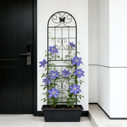 2 Pack Metal Garden Trellis 71  X 19.7  Rustproof Trellis For Climbing Plants Outdoor Flower Support Black