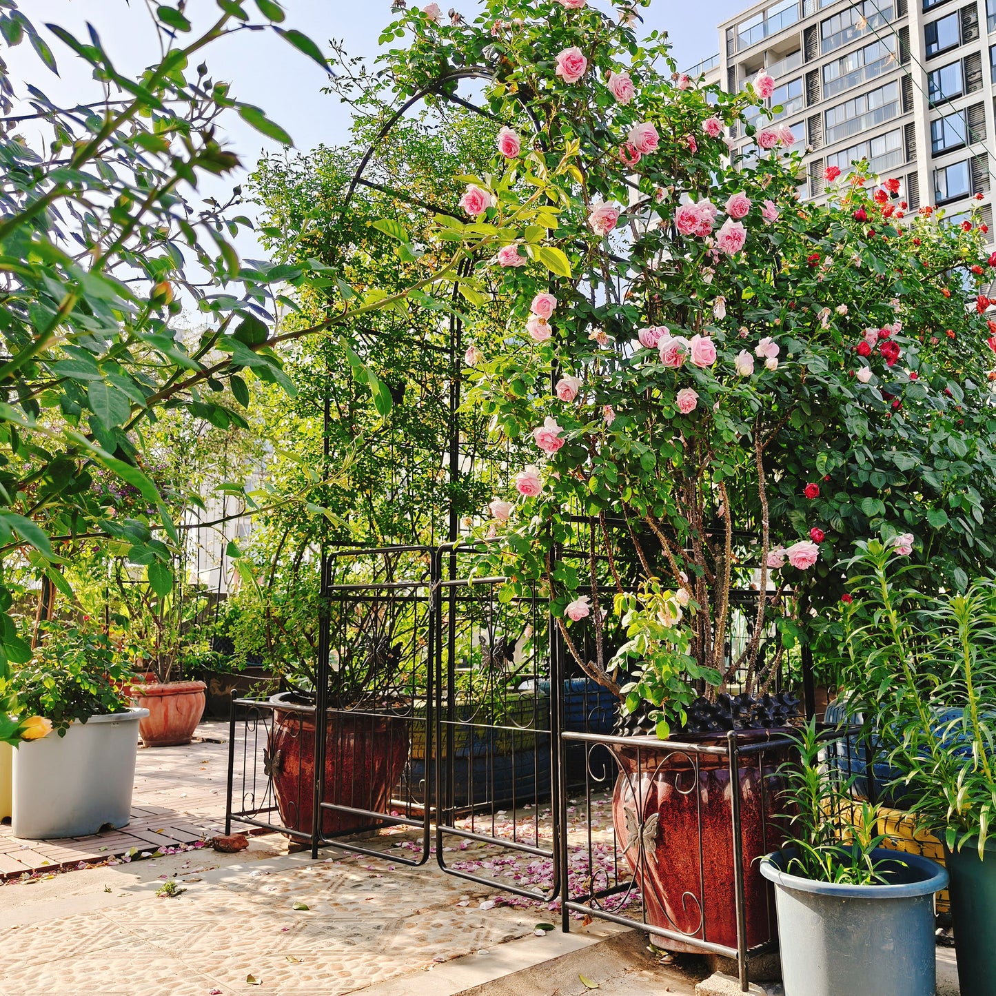 Metal Garden Arch With Gate 79.5  Wide X 86.6  High Climbing Plants Support Rose Arch Outdoor Black