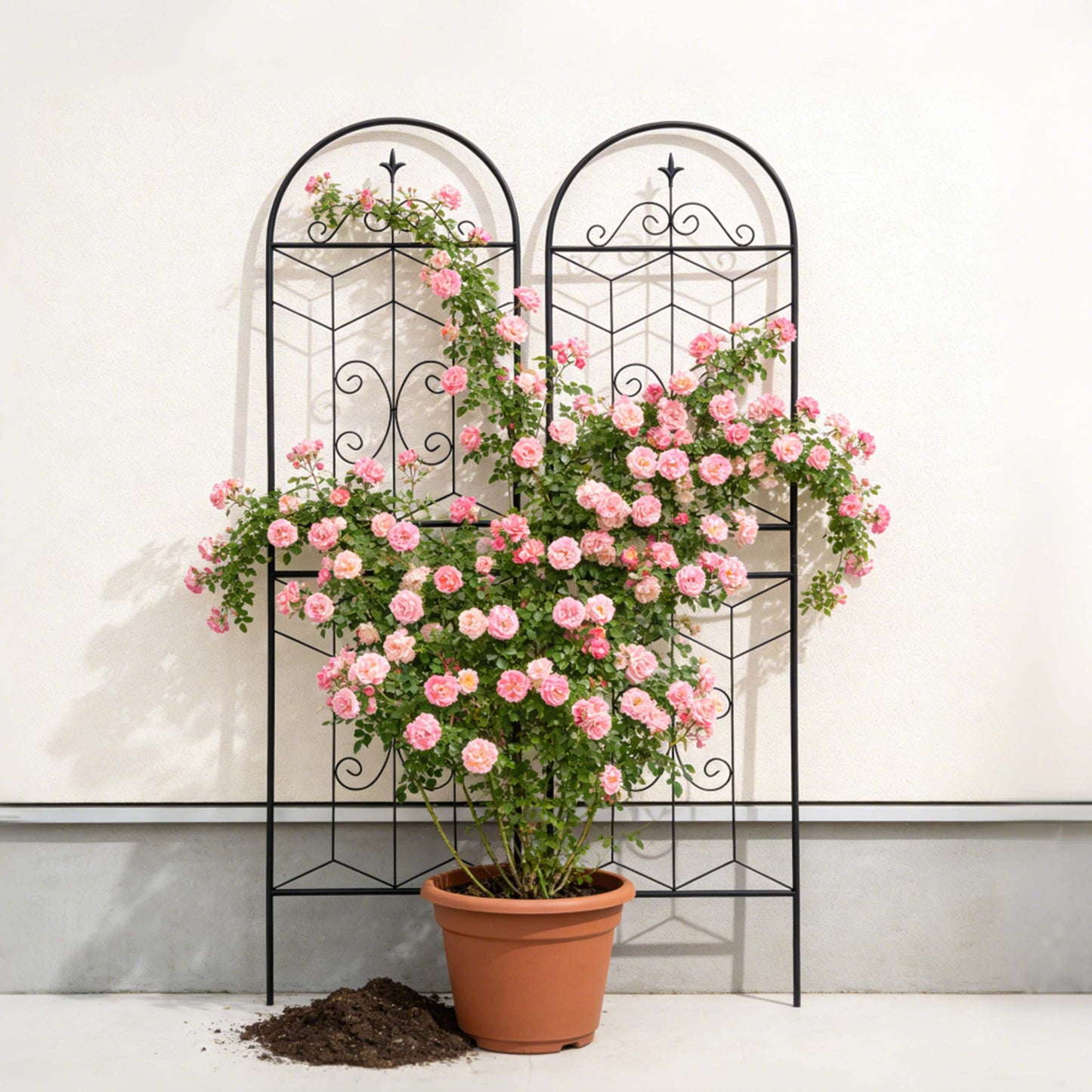 2 Pack Metal Garden Trellis 71  X 19.7  Rustproof Trellis For Climbing Plants Outdoor Flower Support Black