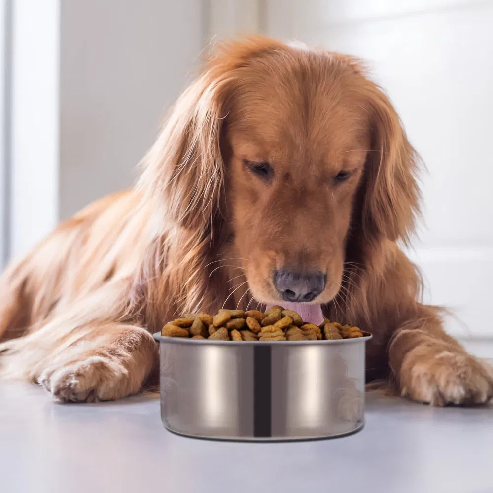 Stainless Steel Dog Bowl Pets Hanging Food Bowl Detachable Pet Cage Food Water Bowl With Clamp Holder