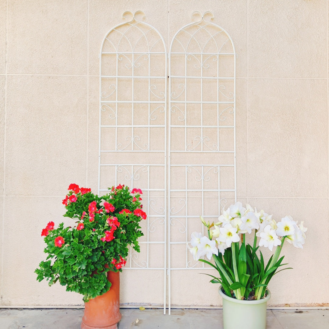 2 Pack Metal Garden Trellis 86.7  X 19.7  Rustproof Trellis For Climbing Plants Outdoor Flower Support Cream White