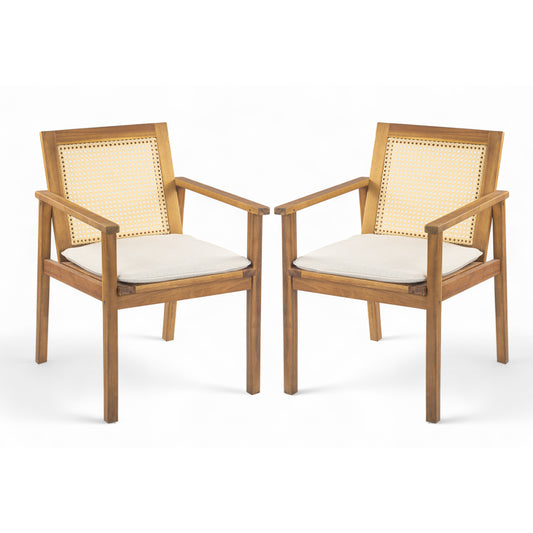 Preston Outdoor Dining Chair With Cushion Set Of 2
