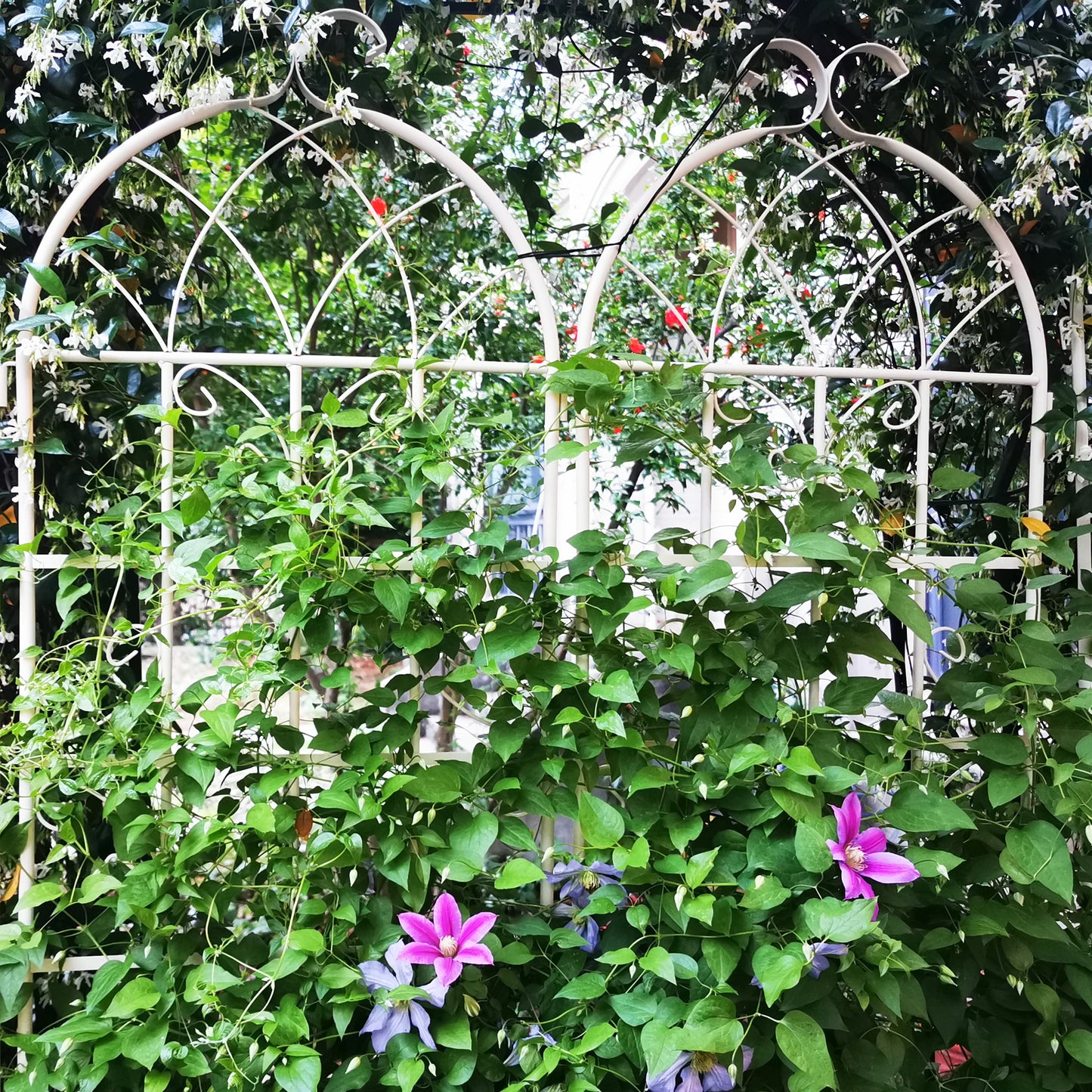 4 Pack Metal Garden Trellis 71  X 19.7  Rustproof Trellis For Climbing Plants Outdoor Flower Support Cream White