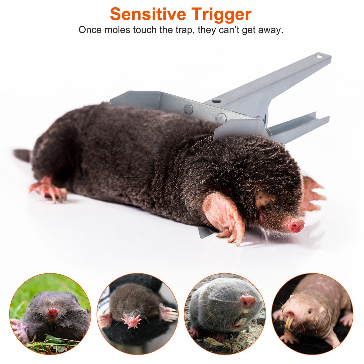 4Pack Reusable Mole Traps With Scissor Jaw Mole Killers Effective Mole Clips For Vegetable Shed Field Garden Yard