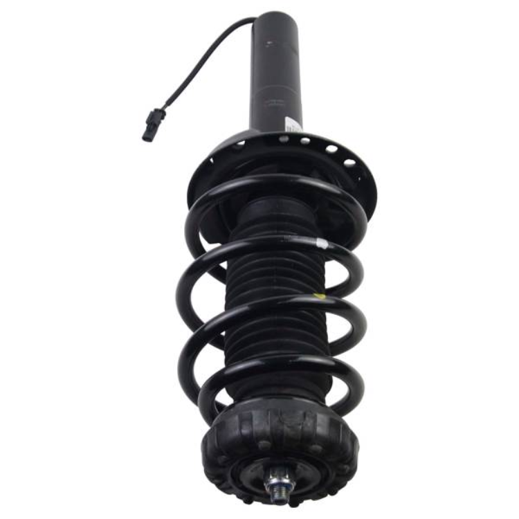 Front Shock Strut Coil Spring Assembly Fits For Cadillac XTS 2013-2019 With Electric 15815523 19300063 20810267 22240300 5801096