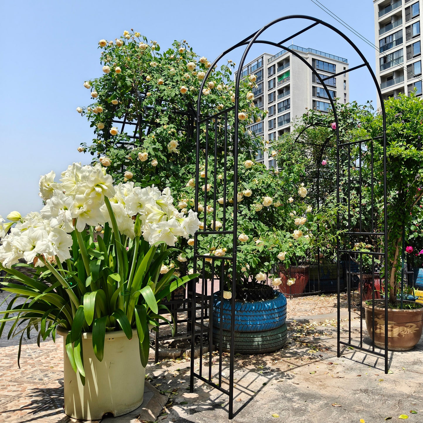 Metal Garden Arch L42.24'' X W17.52'' X H85.82'' Climbing Plants Support Rose Arch Outdoor Black