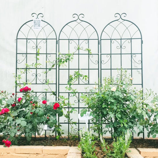 2 Pack Metal Garden Trellis 71  X 19.7  Rustproof Trellis For Climbing Plants Outdoor Flower Support Black