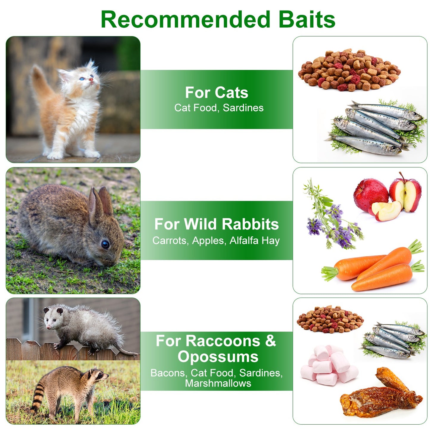 2Pcs 18x8x10In Humane Single Door Live Animal Trap For Spring Summer Collapsible Galvanized Iron Animal Cage Catch And Release For Small Squirrel Raccoon Feral Cat Weasel Armadillo Opossum