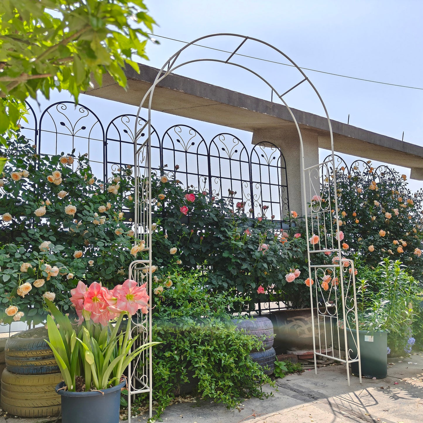 Metal Garden Arch W55  X H94.5  Garden Arbor Trellis Climbing Plants Support Rose Arch Outdoor Arch Cream White