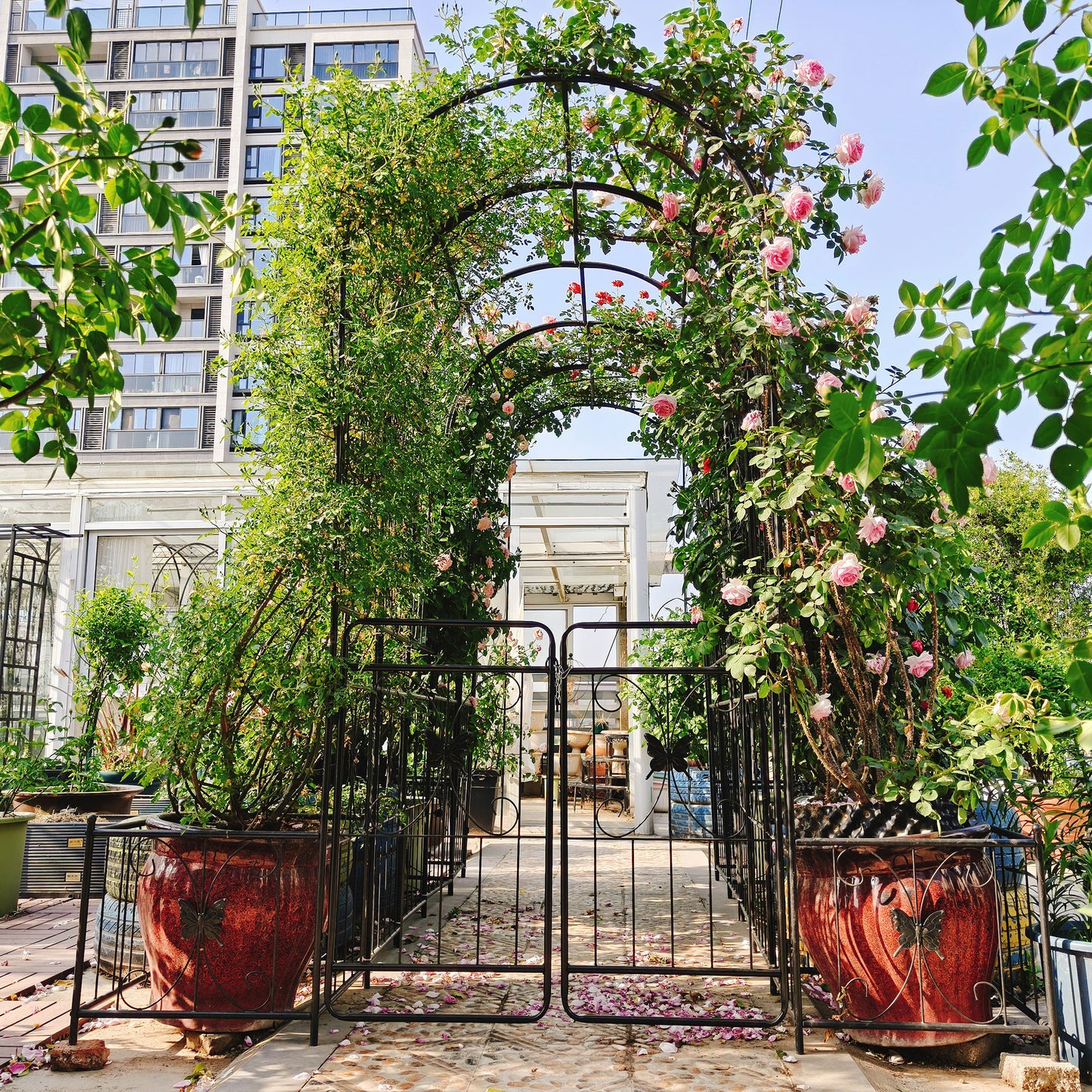 Metal Garden Arch With Gate 79.5  Wide X 86.6  High Climbing Plants Support Rose Arch Outdoor Black