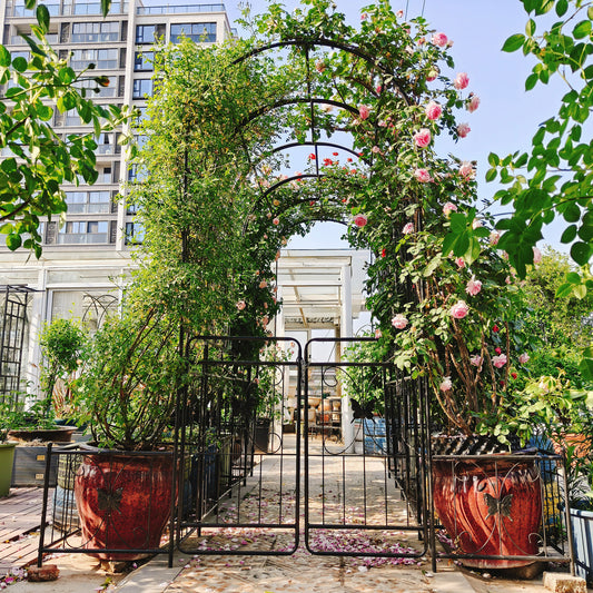 Metal Garden Arch With Gate 79.5  Wide X 86.6  High Climbing Plants Support Rose Arch Outdoor Black