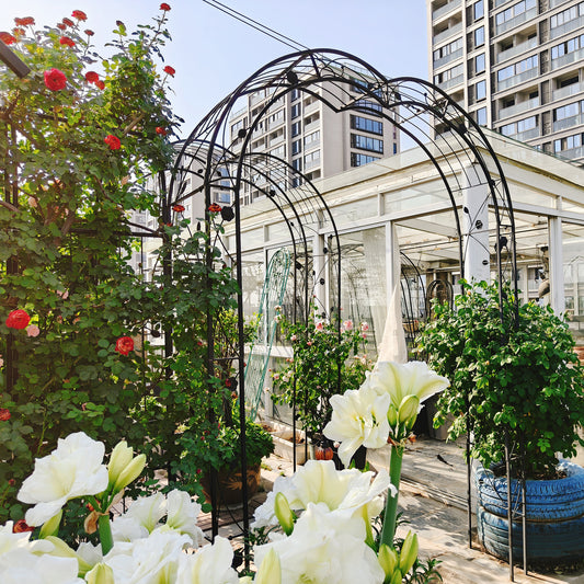 Metal Garden Arch Assemble Freely With 8 Styles Garden Arbor Trellis Climbing Plants Support Rose Arch Black