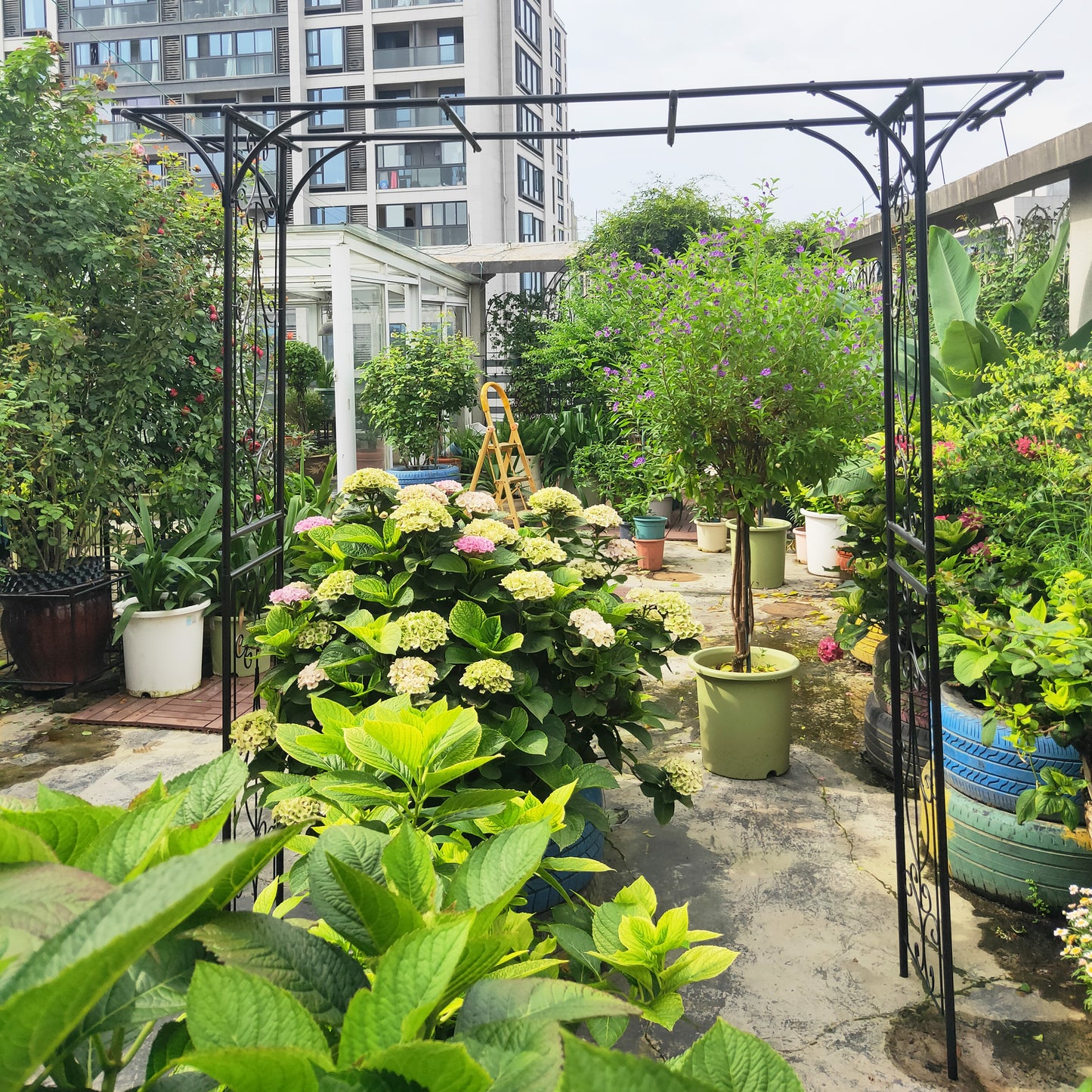 Metal Garden Arch L80.3  X W20.47  X H81.1  Climbing Plants Support Rose Arch Outdoor Black
