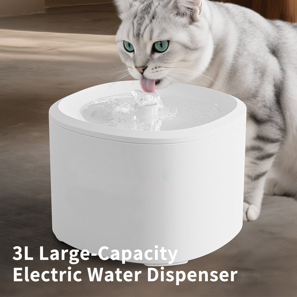 Only Self Pickup---Lodo Water Dispenser