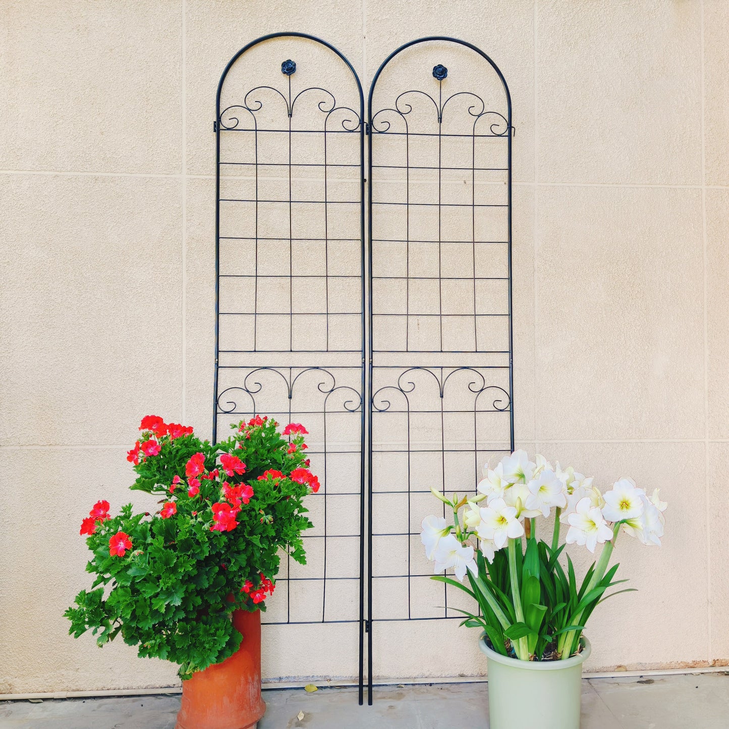 4 Pack Metal Garden Trellis For Climbing Plants Outdoor 86.7  X 19.7  Rustproof Plant Support Rose Trellis Netting Trellis Black