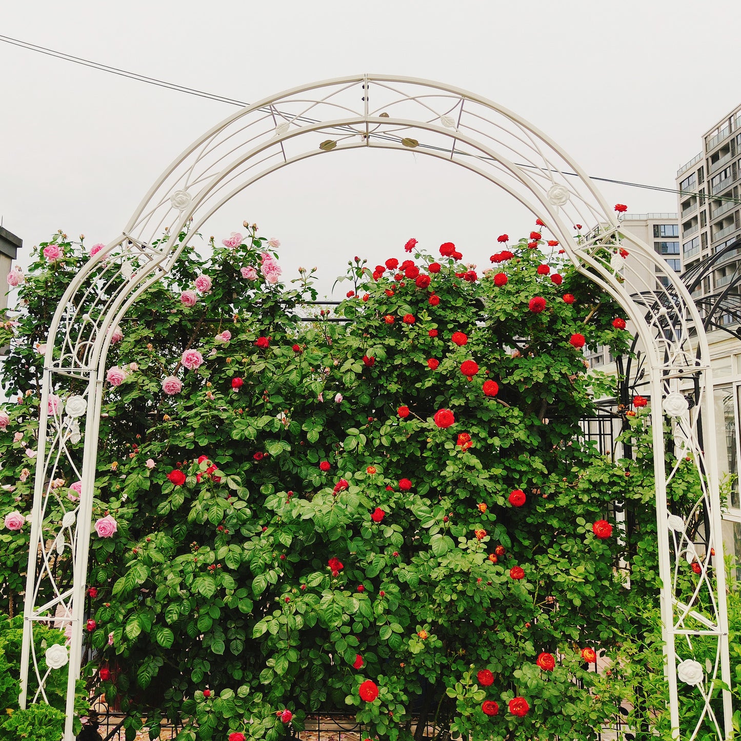 Metal Garden Arch Assemble Freely With 8 Styles Garden Arbor Trellis Climbing Plants Support Rose Arch Outdoor Arch Wedding Arch Party Events Archway Cream White